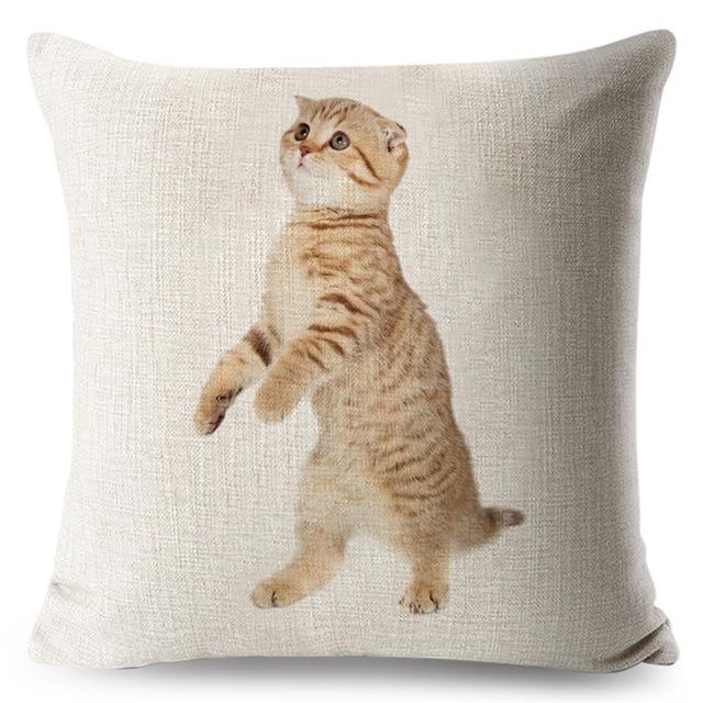 Cute Baby Singapura Cat Print Linen Cushion